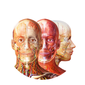 Web suite logo transparent